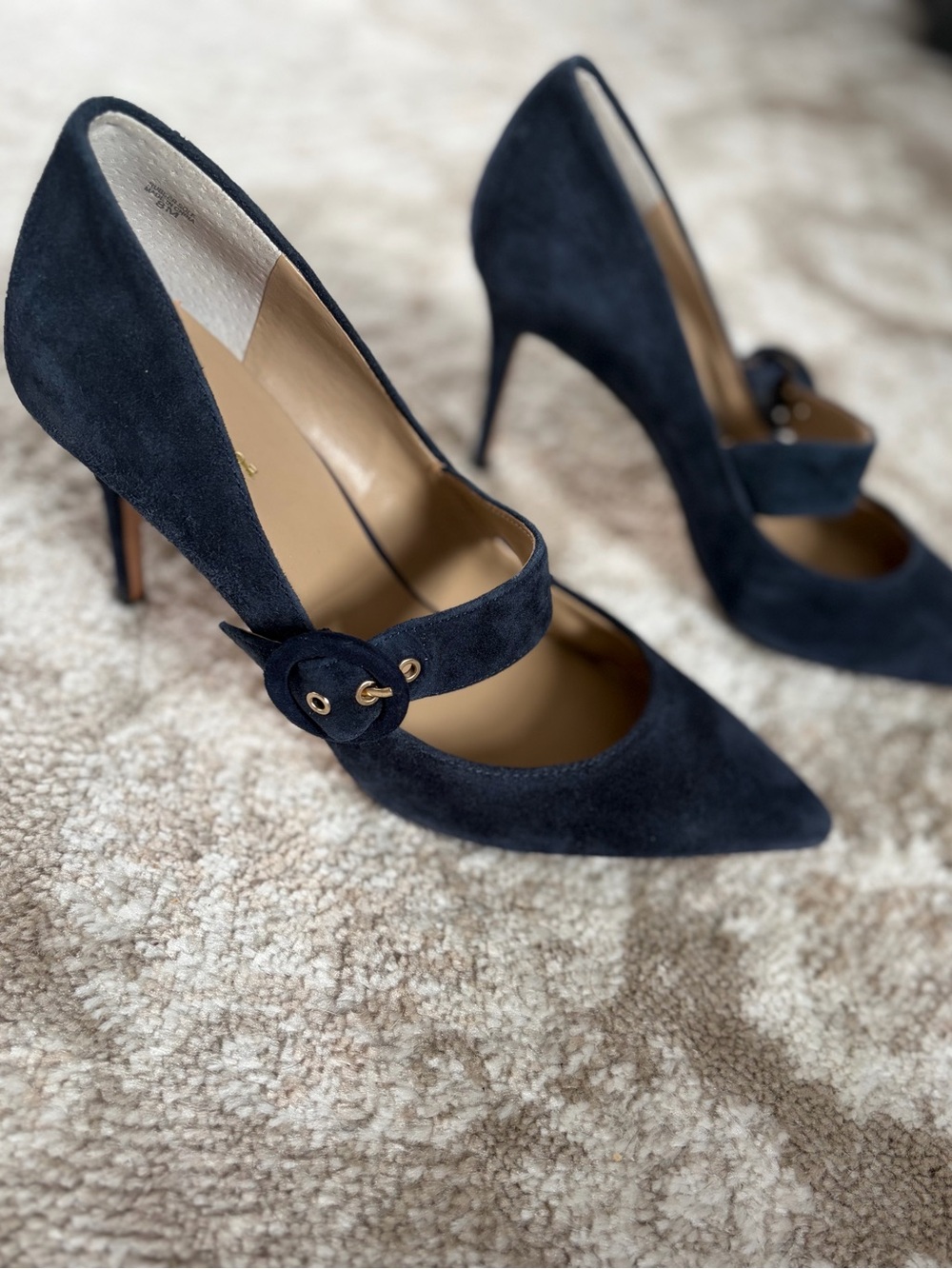 Ann Taylor Navy Suede Pointed Toe Mary Jane Pumps 8M
